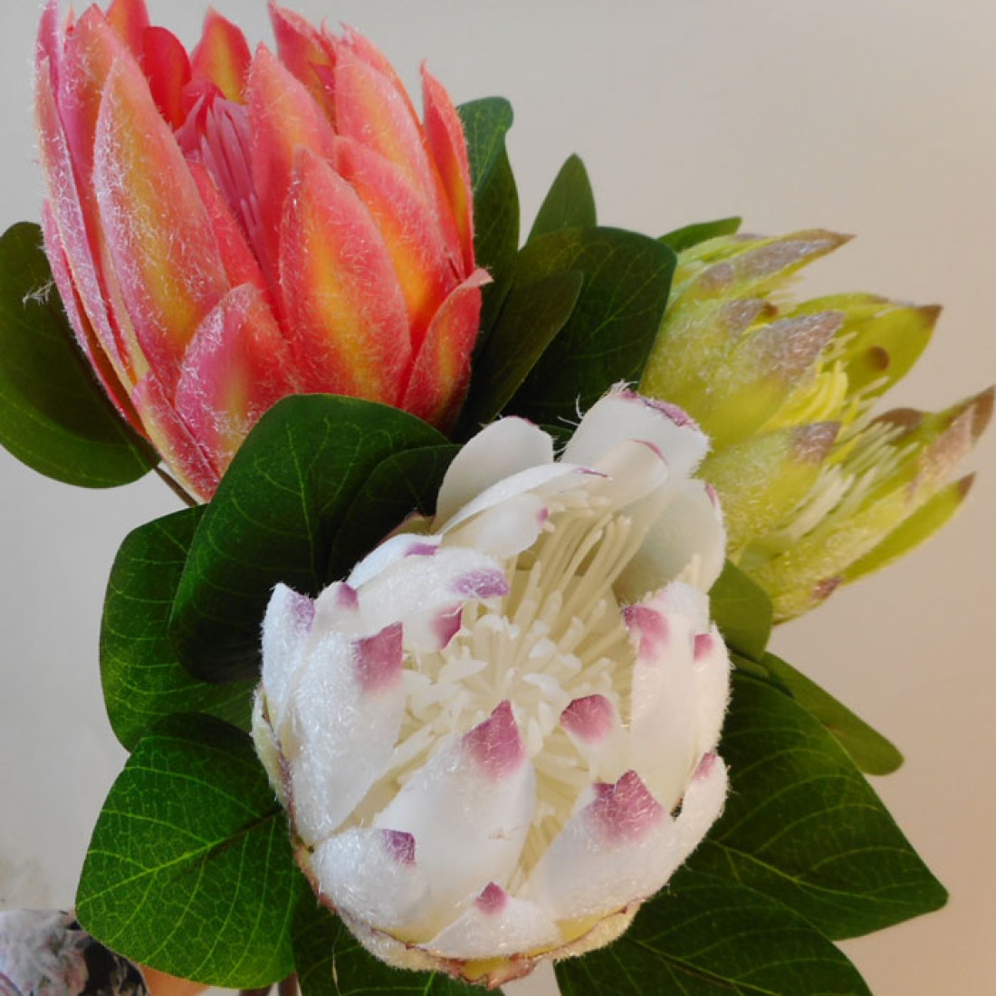 Artificial King Protea Green 65cm Artificial Flowers